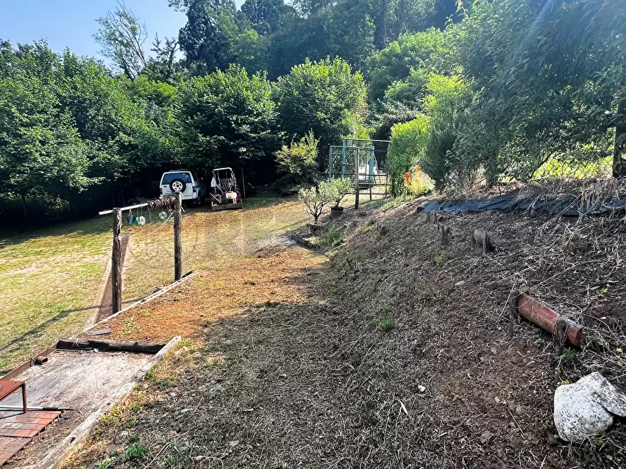 Immagine 37 di Terreno agricolo in vendita  in Via Bazziola a Monteviale