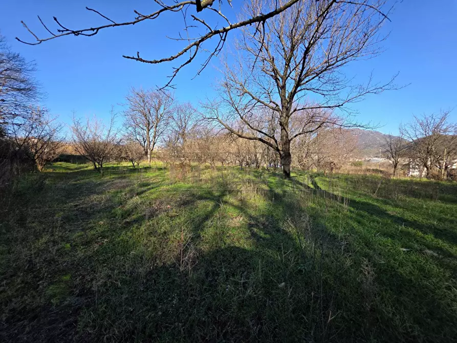 Immagine 13 di Terreno industriale in vendita  a Mercato San Severino