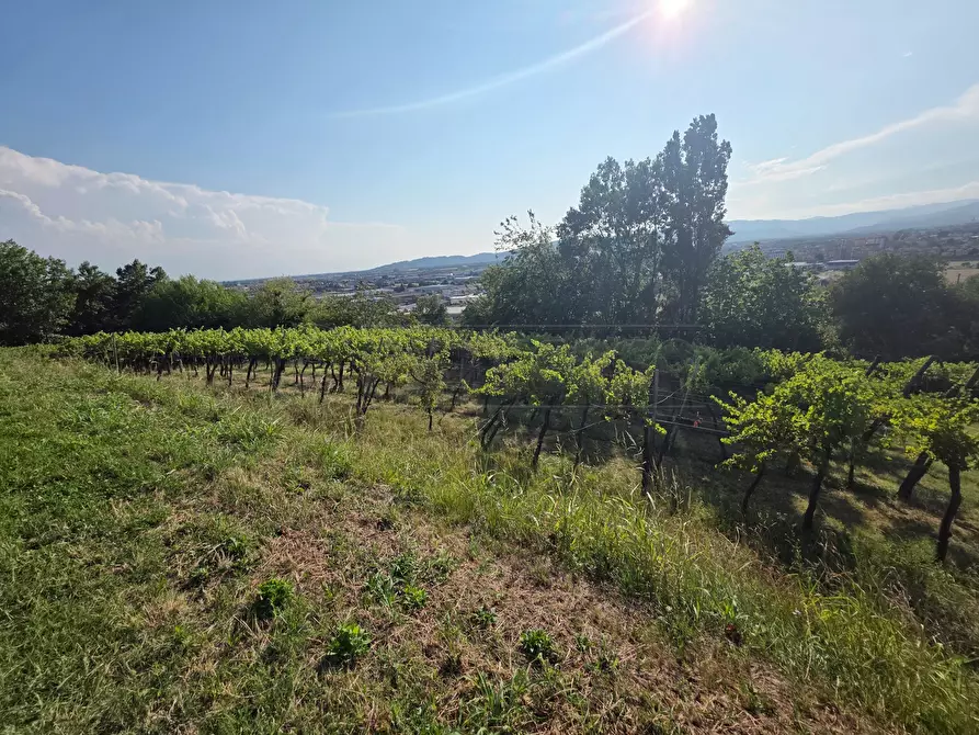 Immagine 7 di Terreno agricolo in vendita  in Via Selva Alta 95 a Montecchio Maggiore