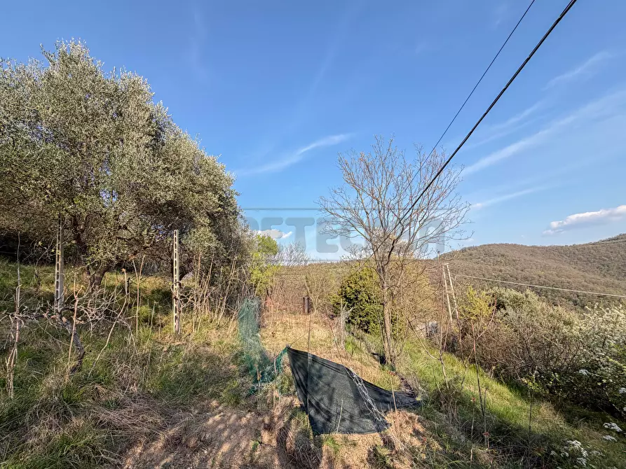 Immagine 52 di Porzione di casa in vendita  in Via Lupia 11 a Val Liona