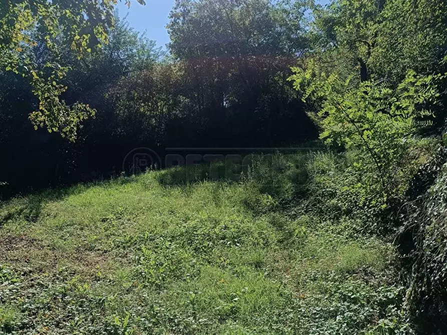 Immagine 21 di Terreno agricolo in vendita  in Via Castellaro a Castegnero