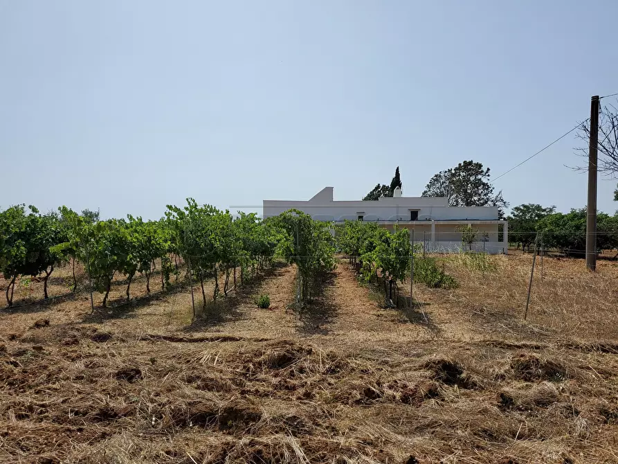 Immagine 5 di Rustico / casale in vendita  in Salentina Meridionale 12 a Gallipoli