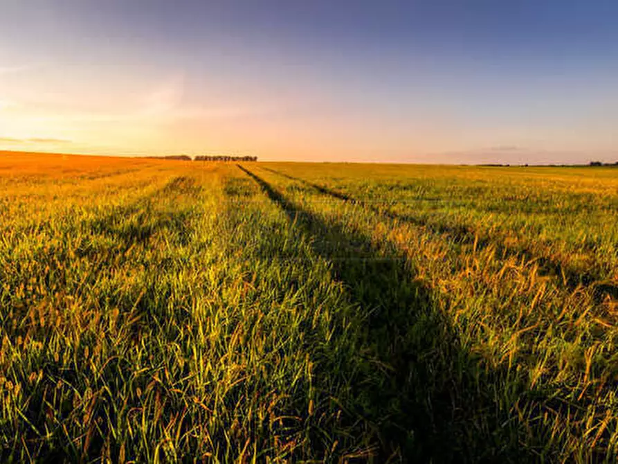 Immagine 10 di Terreno agricolo in vendita  in Via Barcarola 31 a Cadoneghe