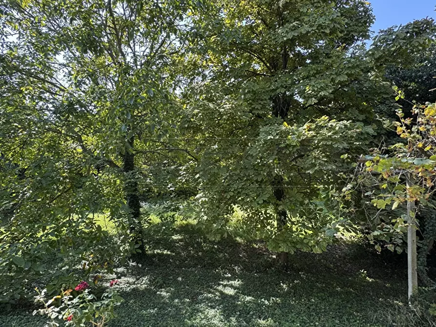 Immagine 4 di Casa indipendente in vendita  a Salzano