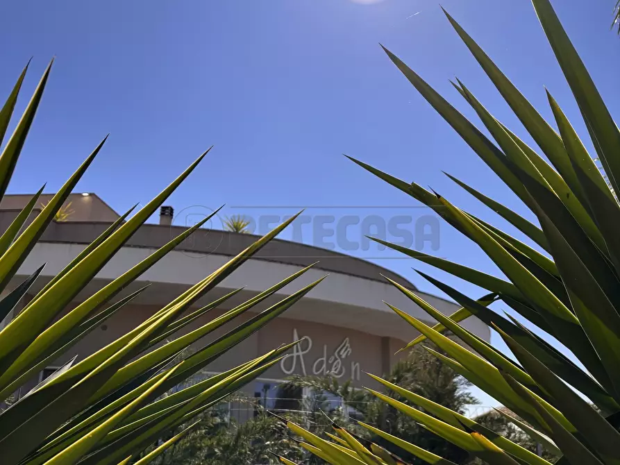 Immagine 8 di Pentalocale in vendita  in Via delle tessitrici 1 a Sannicola