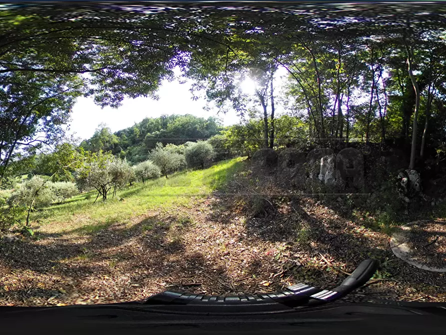 Immagine 51 di Terreno agricolo in vendita  in Via Bazziola a Monteviale