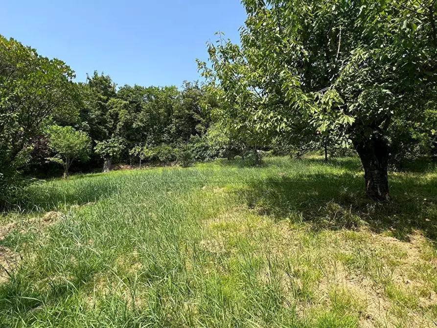 Immagine 4 di Terreno agricolo in vendita  in Via Casette 9 a Val Liona