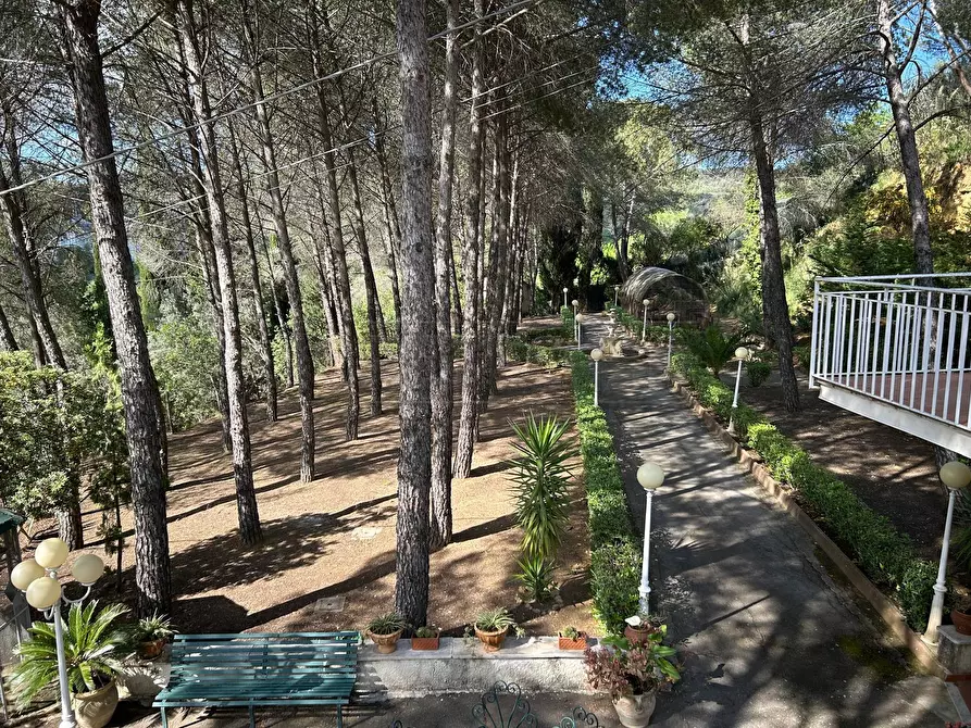 Immagine 4 di Villa in vendita  in SP6bis a Caltanissetta
