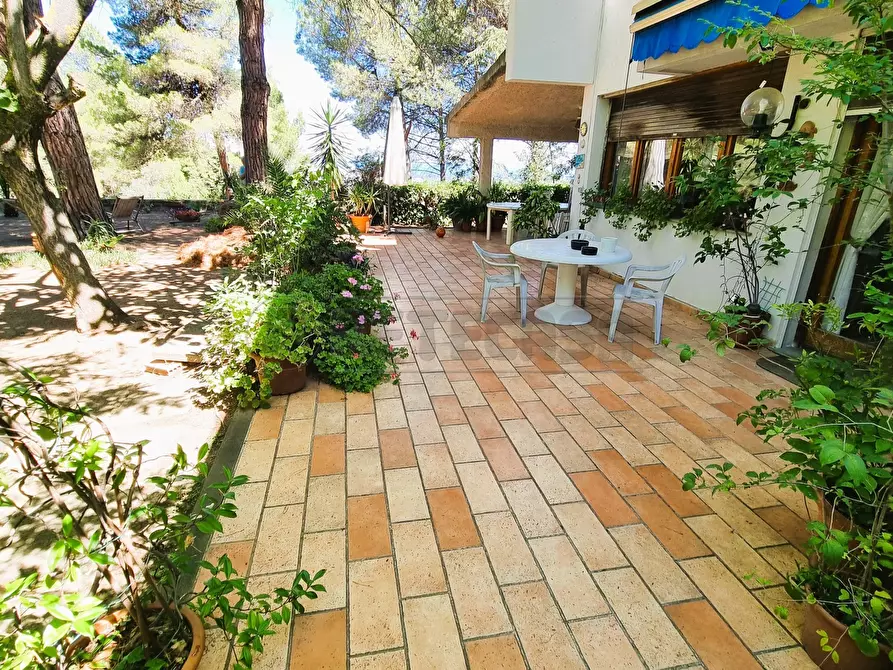 Immagine 31 di Villa in vendita  a Montesilvano