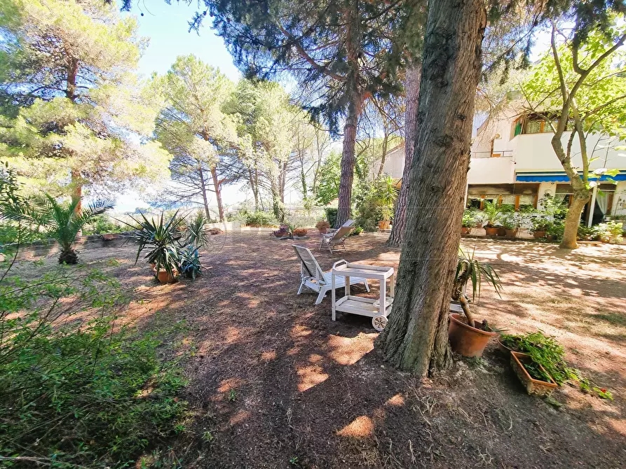 Immagine 28 di Villa in vendita  a Montesilvano