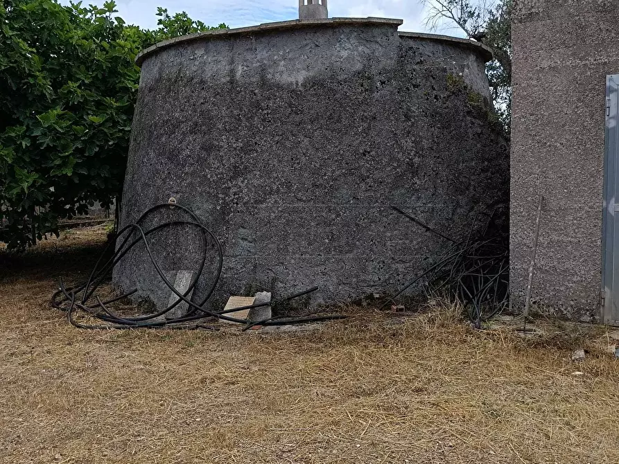 Immagine 11 di Terreno agricolo in vendita  a Corigliano D'otranto