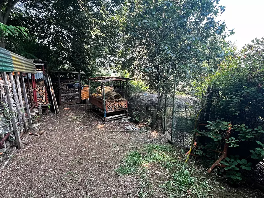 Immagine 15 di Terreno agricolo in vendita  in Via Bazziola a Monteviale