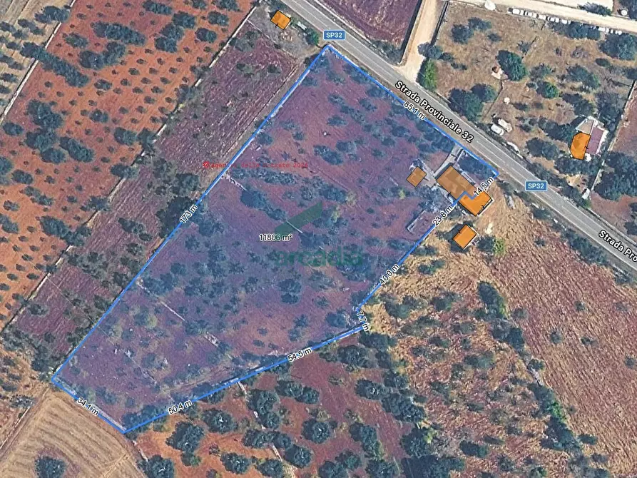 Immagine 41 di Rustico / casale in vendita  in SP32 68 a Putignano