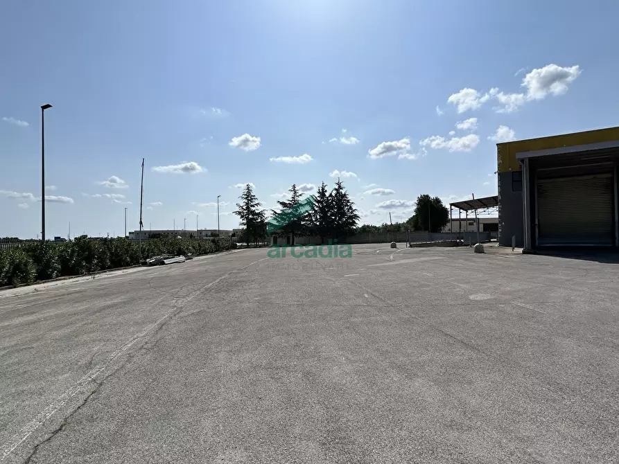 Immagine 25 di Attività artigianale in affitto  in SP231 98 a Terlizzi