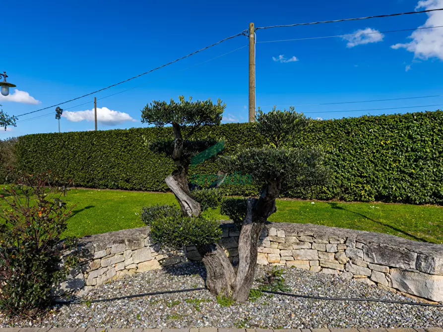 Immagine 47 di Locale commerciale in vendita  in Strada Vicinale Vecchia di Matera 369 a Gioia Del Colle