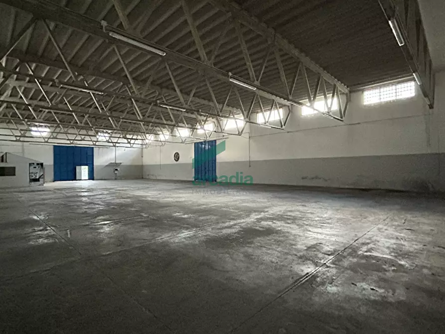 Immagine 3 di Attività artigianale in affitto  in Via Modugno 97 a Bitonto