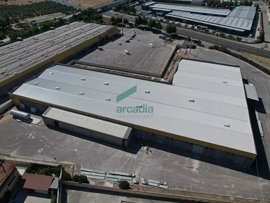 Immagine 2 di Attività artigianale in affitto  in SP231 98 a Terlizzi