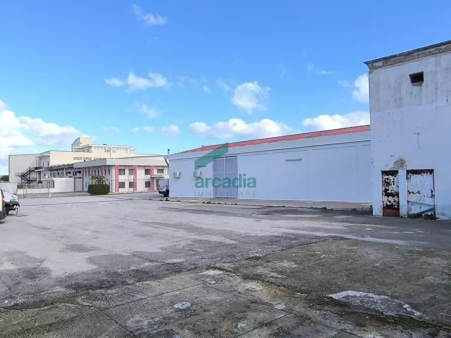 Immagine 28 di Attività artigianale in affitto  in S.S. 16 km 810,800 SN a Triggiano