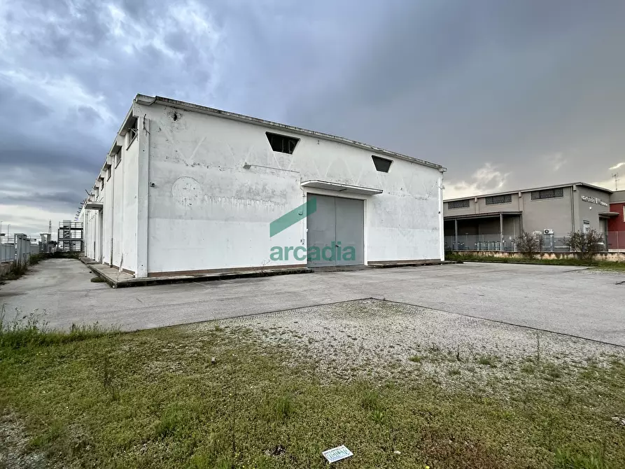 Immagine 13 di Attività artigianale in affitto  in Via Modugno 97 a Bitonto