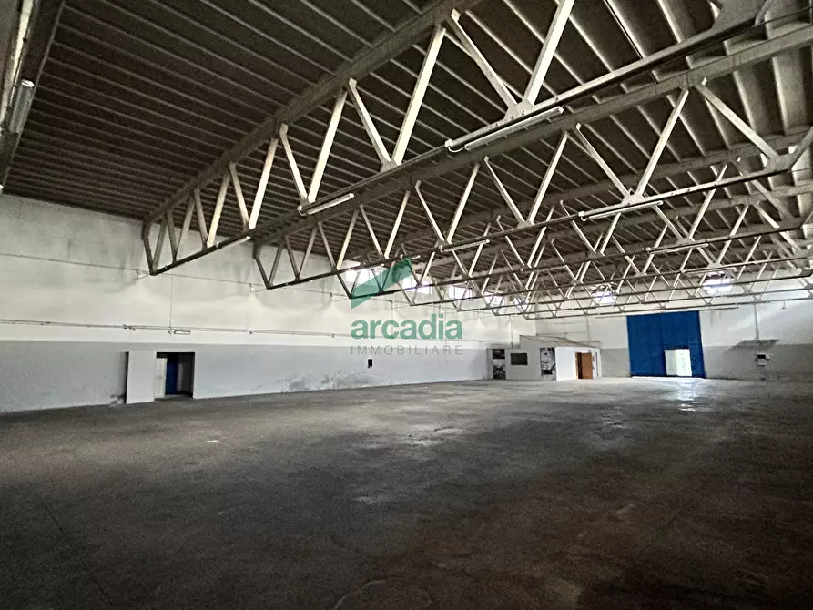 Immagine 5 di Attività artigianale in affitto  in Via Modugno 97 a Bitonto
