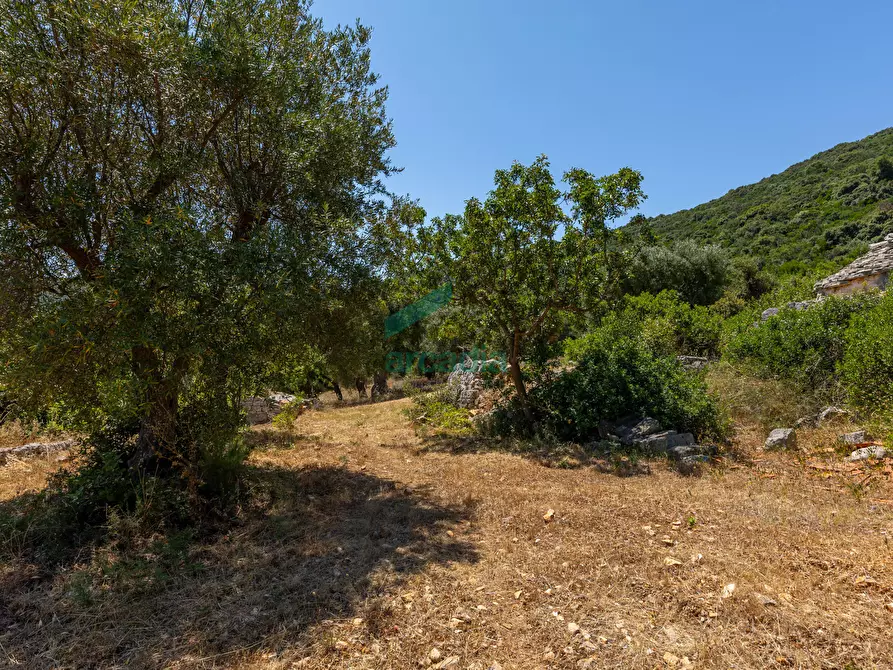 Immagine 27 di Rustico / casale in vendita  in Contrada Torchiano a Monopoli