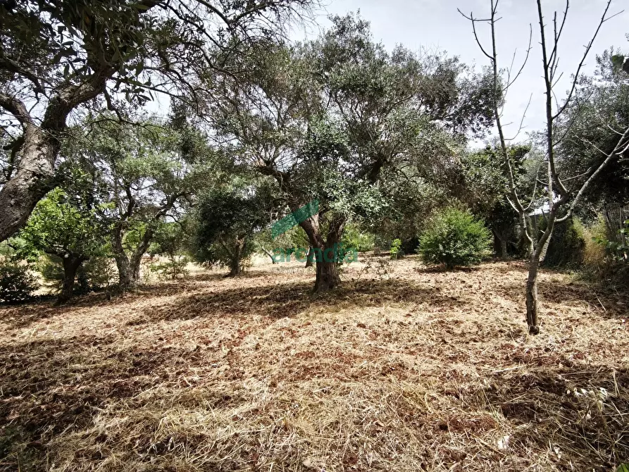 Immagine 24 di Villa in vendita  in KM 42 761 a Locorotondo