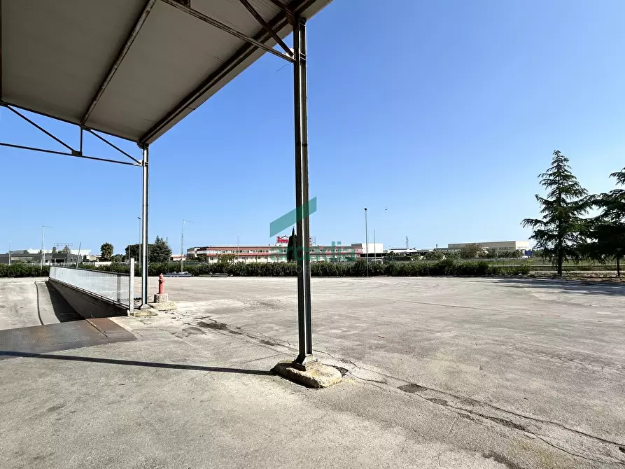Immagine 13 di Attività artigianale in affitto  in SP231 98 a Terlizzi