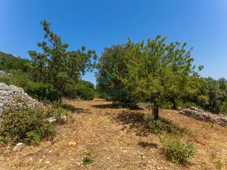 Immagine 24 di Rustico / casale in vendita  in Contrada Torchiano a Monopoli