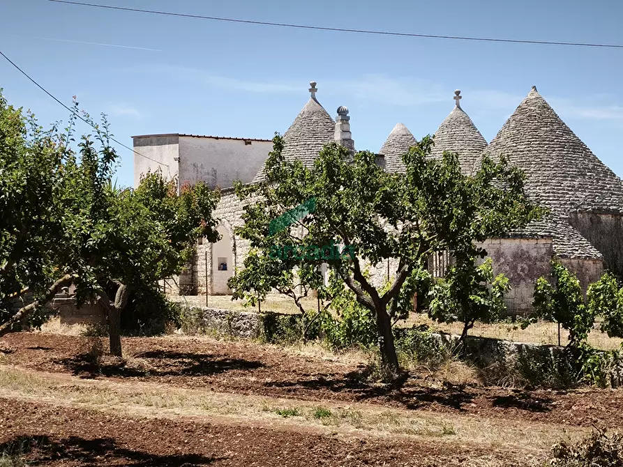 Immagine 3 di Rustico / casale in vendita  in Contrada Terranova a Monopoli