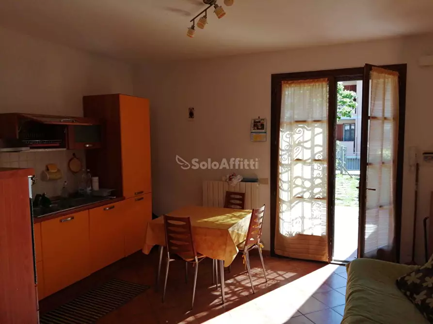 Immagine 4 di Bilocale in affitto  in via parri 155 a Rosignano Marittimo