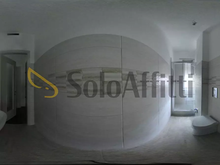 Immagine 13 di Pentalocale in affitto  in Corso Carlo e Nello Rosselli 11 a Torino