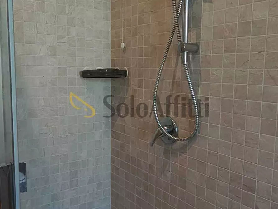 Immagine 14 di Trilocale in affitto  in Via Riviera 144 a Pavia