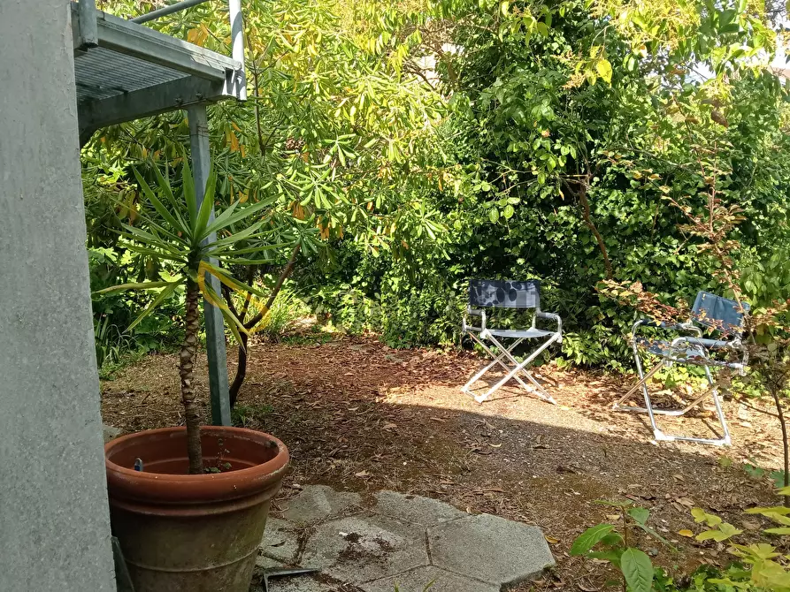 Immagine 16 di Bilocale in affitto  a Falconara Marittima