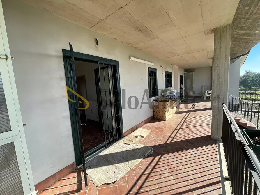 Immagine 8 di Trilocale in affitto  a Ferentino