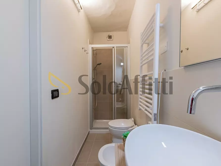 Immagine 31 di Monolocale in affitto  in Corso Palestro 9 a Torino