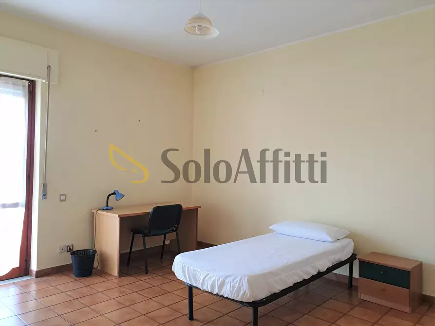 Immagine 9 di Quadrilocale in affitto  a Catanzaro