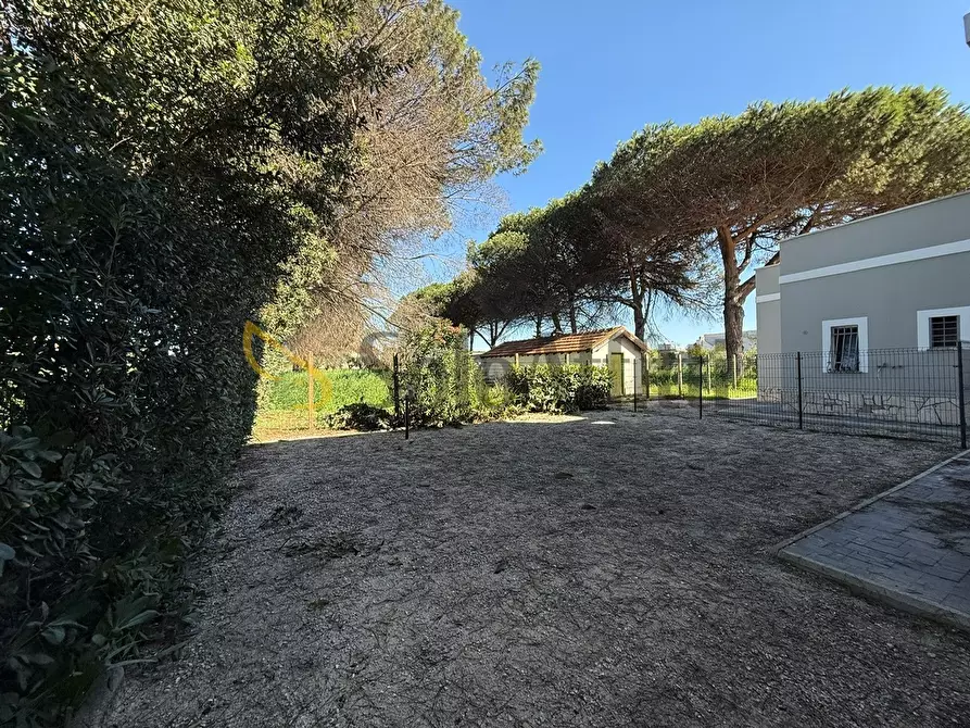 Immagine 12 di Trilocale in affitto  in Via Col Vento a Anzio