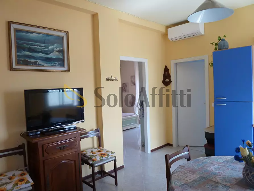 Immagine 9 di Trilocale in affitto  in Via Ortassi 44 a Santo Stefano Al Mare