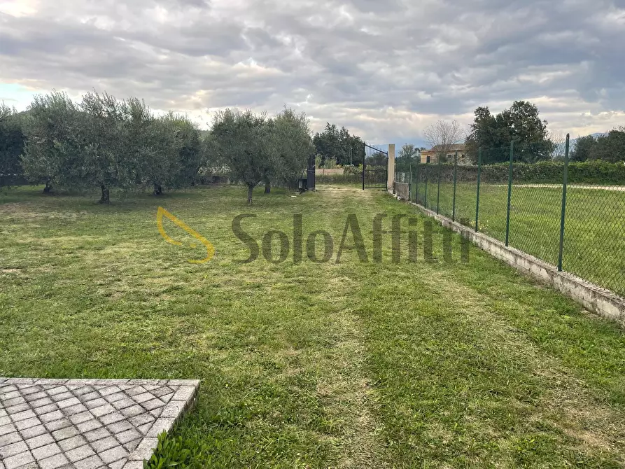 Immagine 19 di Villa in affitto  a Ferentino