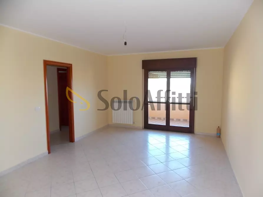 Immagine 1 di Trilocale in affitto  a Catanzaro