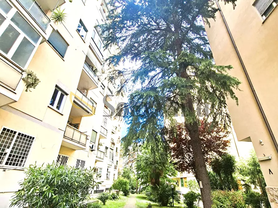 Immagine 41 di Trilocale in affitto  in viale Pico della Mirandola 56 a Roma