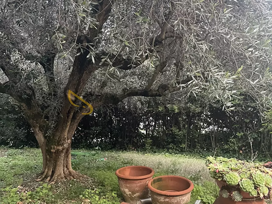 Immagine 20 di Villa in affitto  in Via Sogliano a Savignano Sul Rubicone