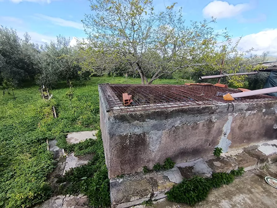 Immagine 6 di Terreno agricolo in vendita  in GRV6+27 Paternò, Città metropolitana di Catania a Paterno'