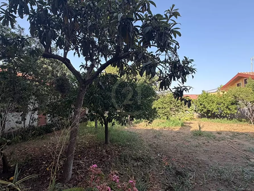 Immagine 12 di Appartamento in vendita  a Mascalucia