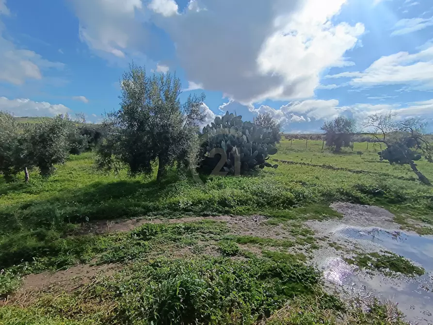 Immagine 21 di Terreno agricolo in vendita  in GRV6+27 Paternò, Città metropolitana di Catania a Paterno'