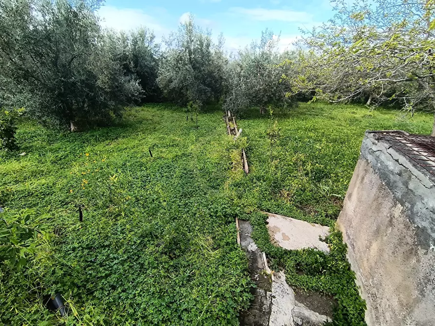 Immagine 23 di Terreno agricolo in vendita  in GRV6+27 Paternò, Città metropolitana di Catania a Paterno'