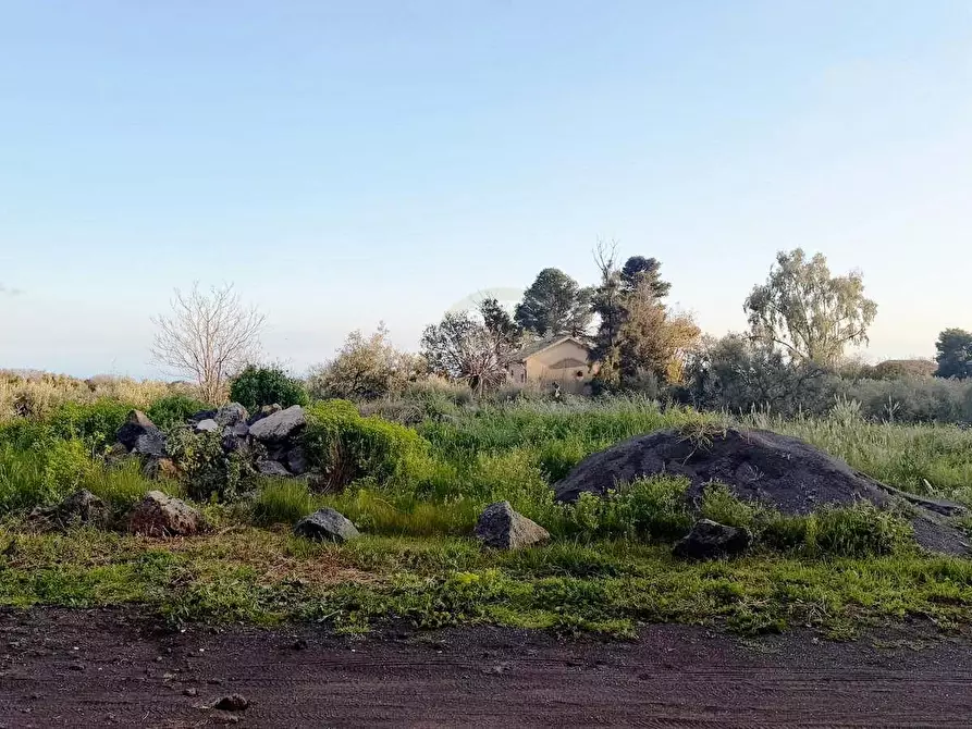 Immagine 4 di Terreno agricolo in vendita  a Mascalucia