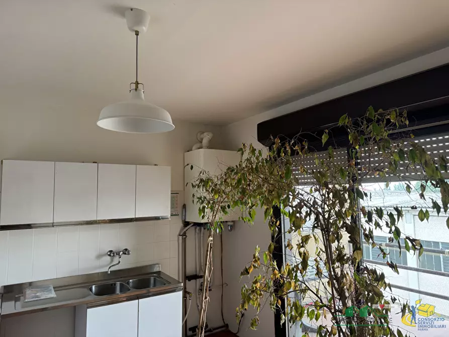 Immagine 13 di Attività artigianale in vendita  in strada provinciale a Sala Baganza