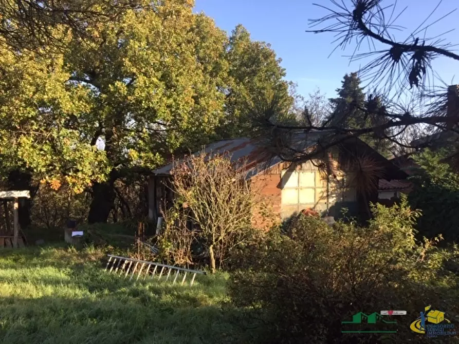 Immagine 7 di Terreno agricolo in vendita  in loc. Bezzo Bellini a Medesano