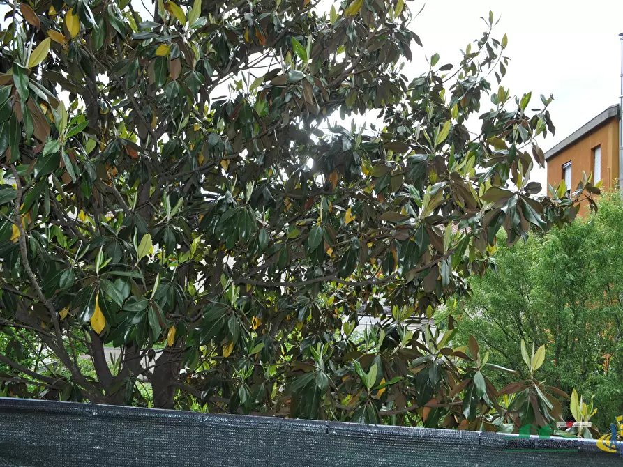 Immagine 28 di Trilocale in vendita  in SANT'ANDREA BAGNI a Medesano